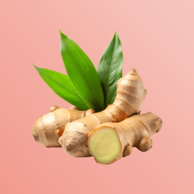 Ginger