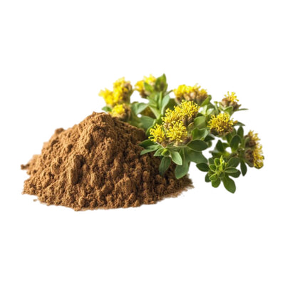 RHODIOLA ROSEA