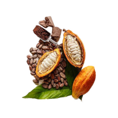 THEOBROMINE